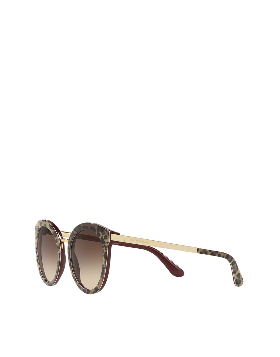 DG SICILIAN TASTE Women's Sunglasses