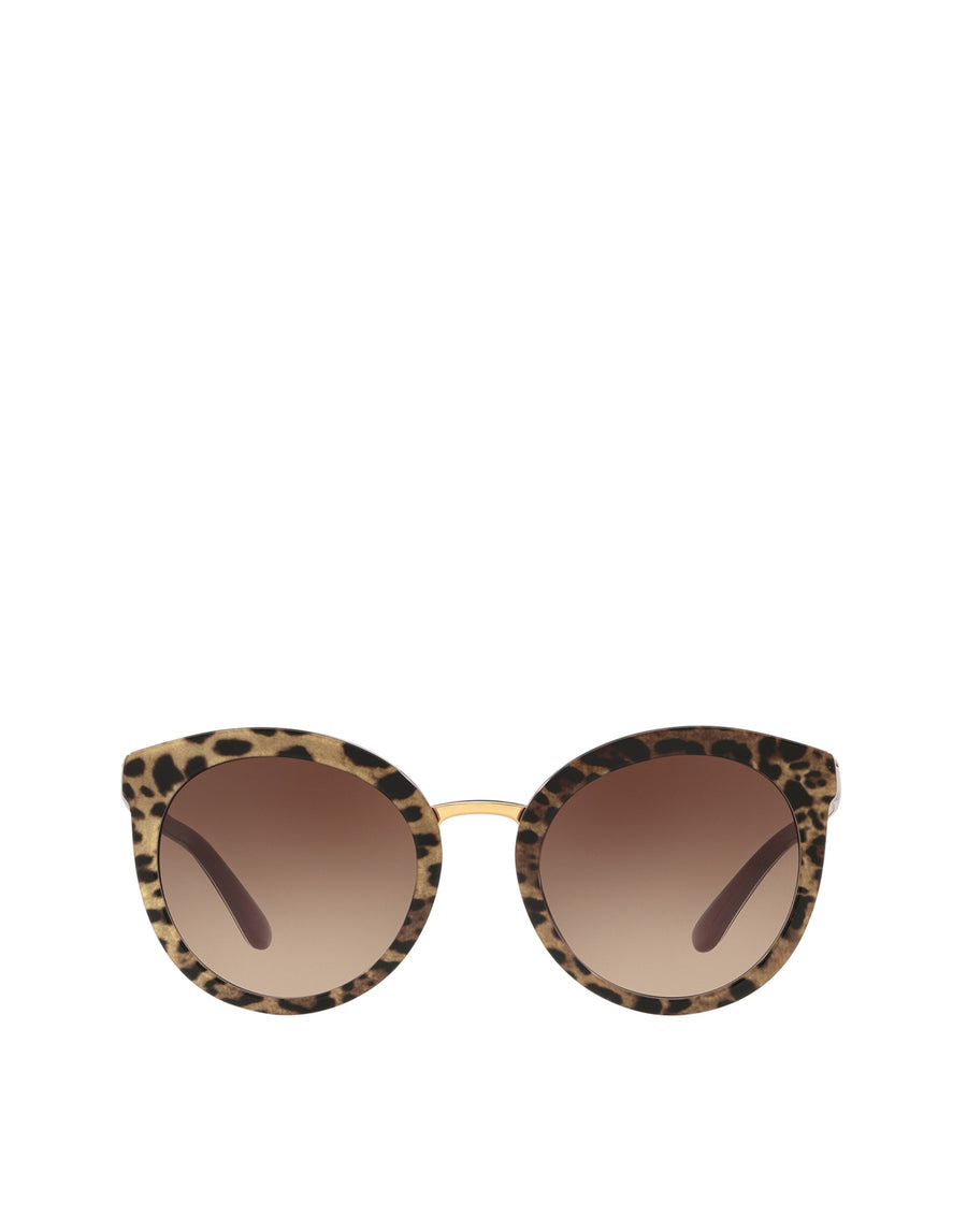 DG SICILIAN TASTE Women's Sunglasses